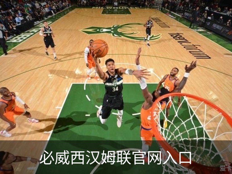 了解必威西汉姆联官网入口